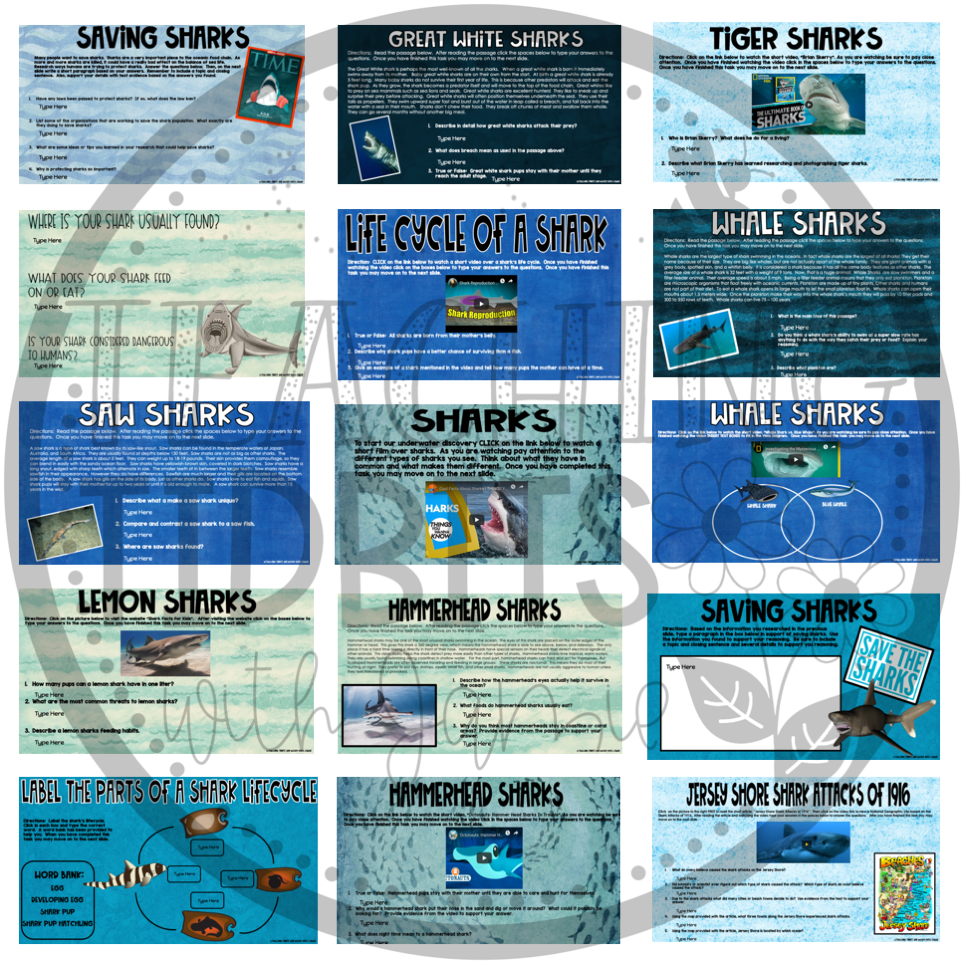 Shark worksheets