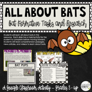 Bat Activities