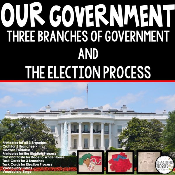 Three Branches of Government Activities