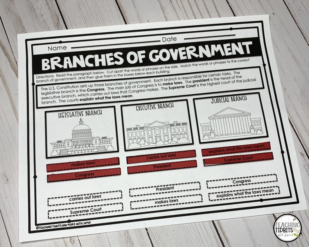 Three Branches of Government Activities