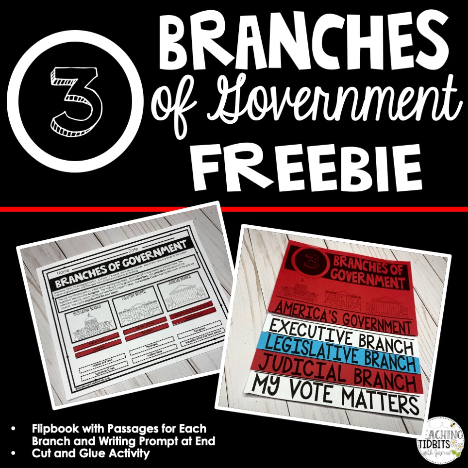 Three Branches of Government Worksheets