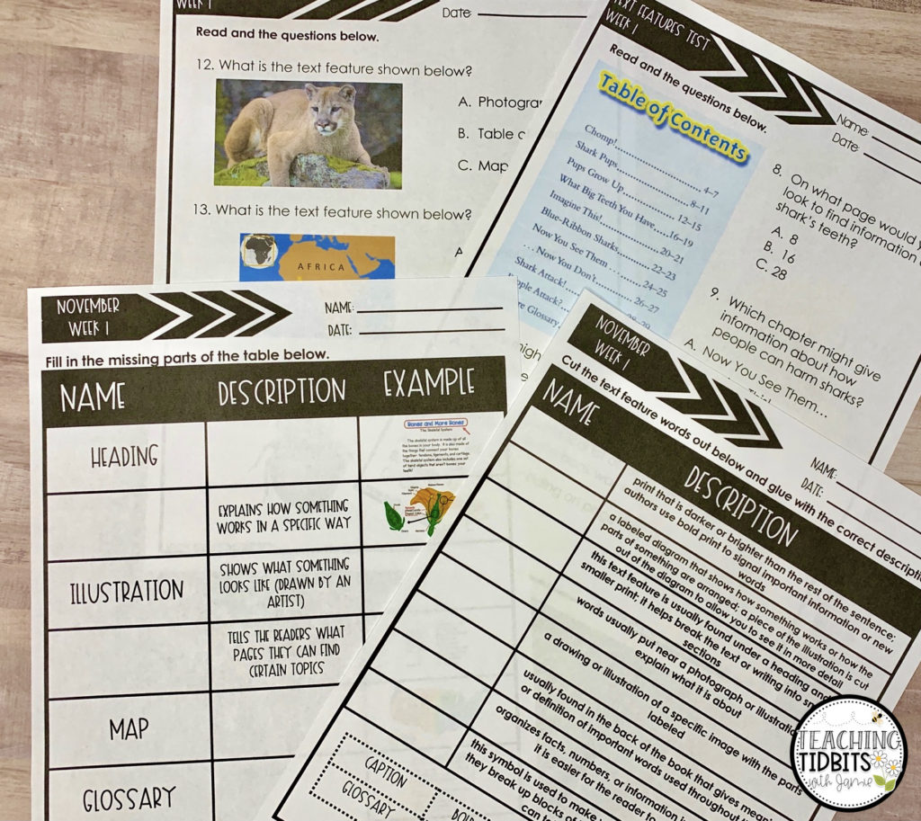 Games and Activities for Teaching Nonfiction Text Features