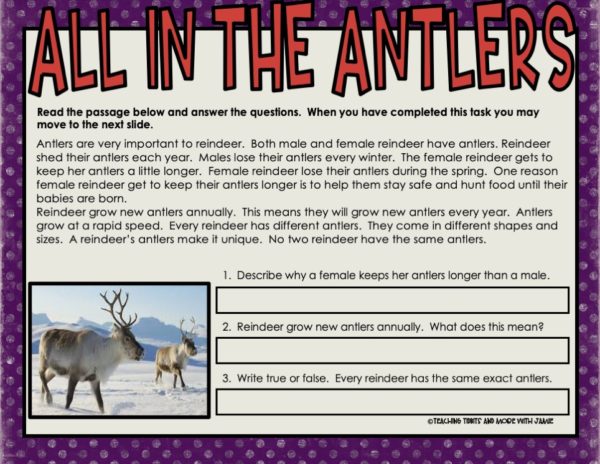 Reindeer Nonfiction Activities